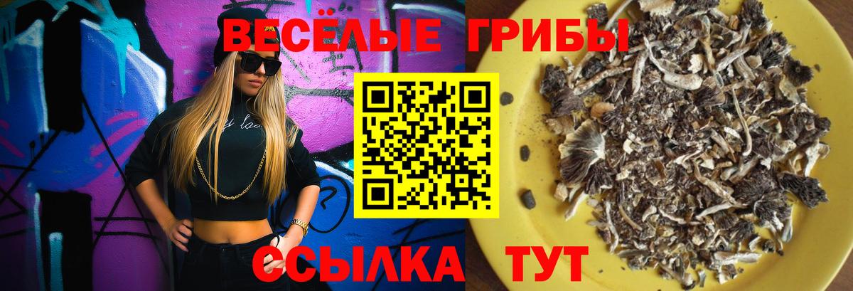 Псилоцибиновые грибы Magic Shrooms  Вход с VPN  Горячий Ключ 